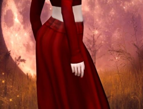 BG COMPATIBLE SKIRT at Jenni Sims