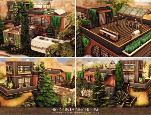 Big Container House