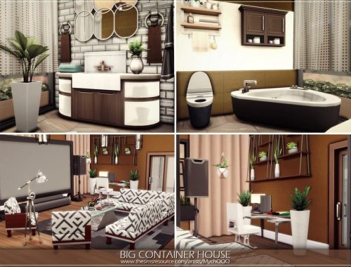 Big Container House
