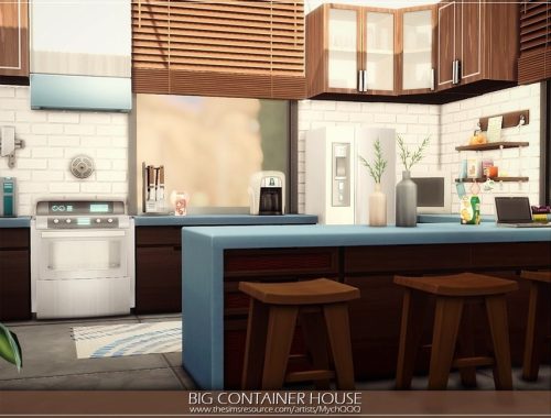 Big Container House