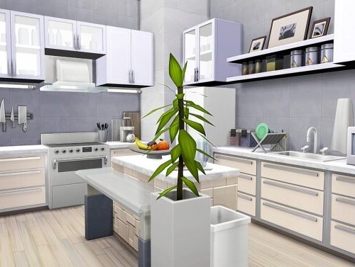 BIG FAMILY APARTMENT at Aveline Sims