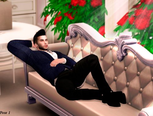 Bj II - Pose Pack
