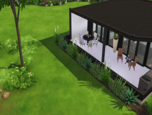 Black Box Modern House