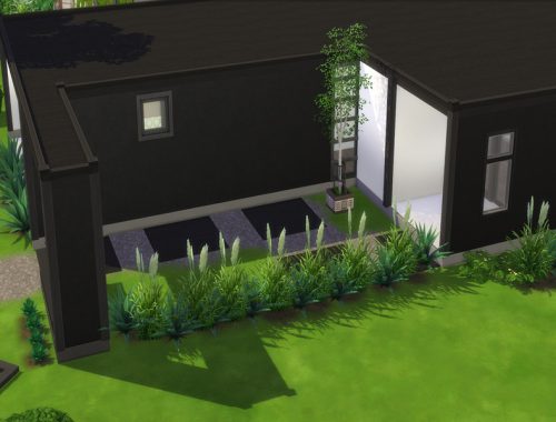 Black Box Modern House