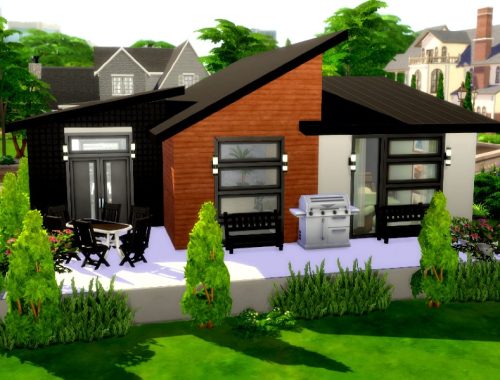 Black-Brown-White |Base Game