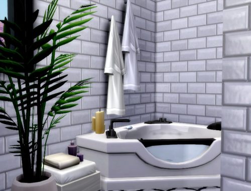 Black-Brown-White |Base Game