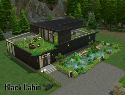 Black Cabin