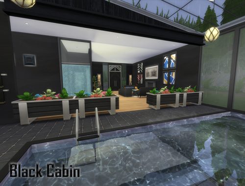 Black Cabin
