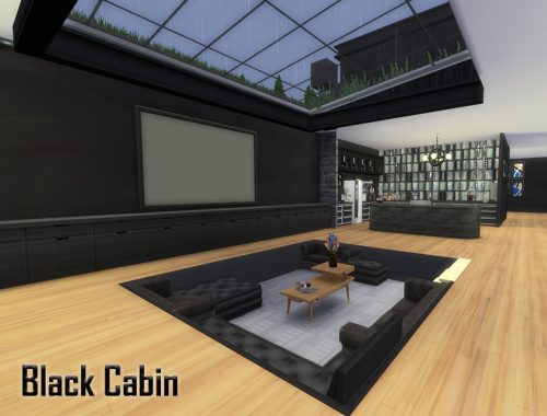 Black Cabin