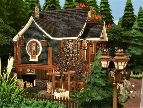 Black Cat Tavern at Agathea-k