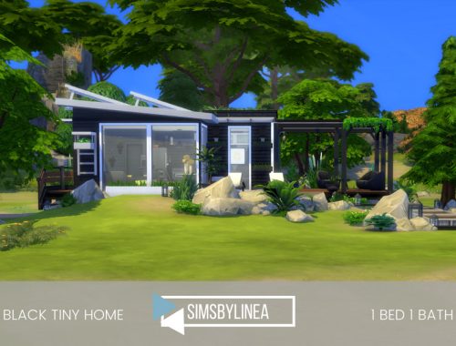 Black Tiny Home