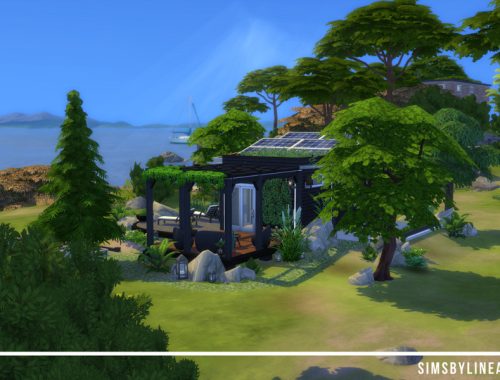 Black Tiny Home