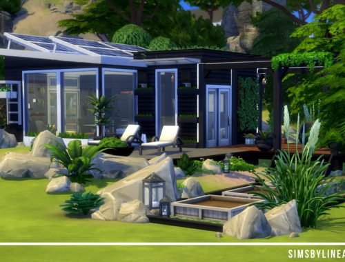 Black Tiny Home