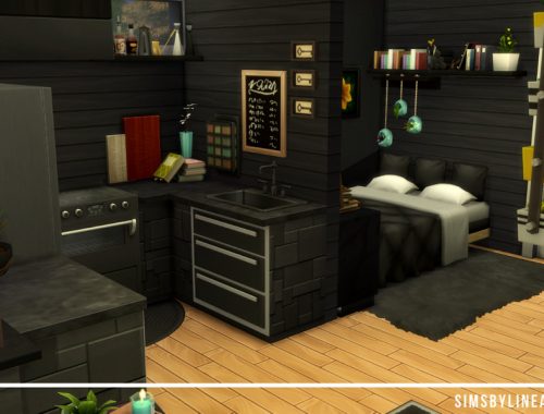 Black Tiny Home