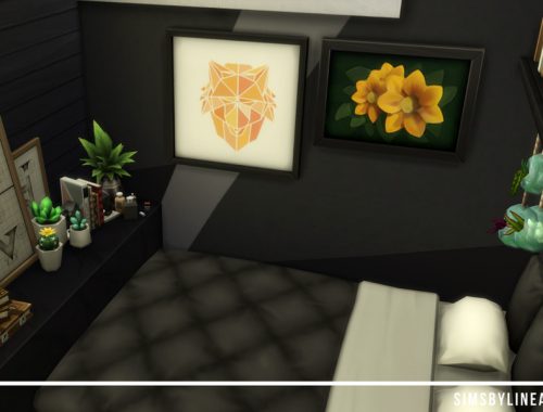 Black Tiny Home