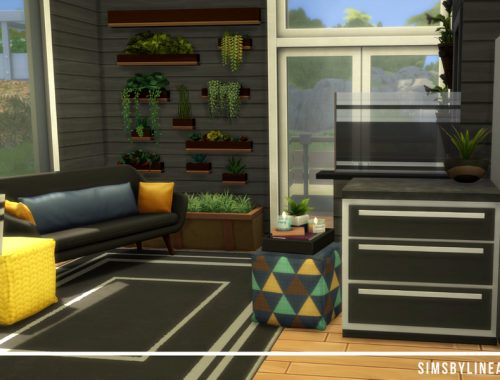 Black Tiny Home