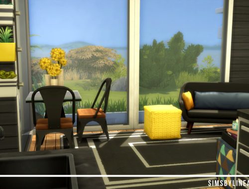 Black Tiny Home
