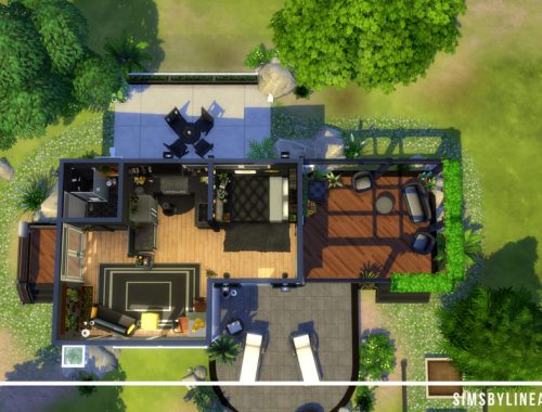 Black Tiny Home