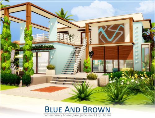 Blue and Brown