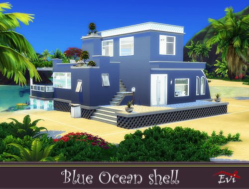 Blue Ocean Shell
