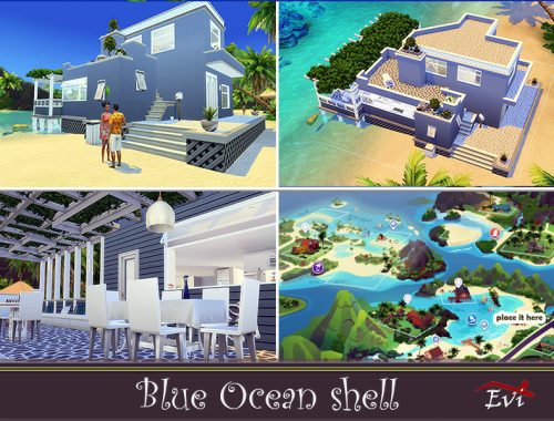 Blue Ocean Shell