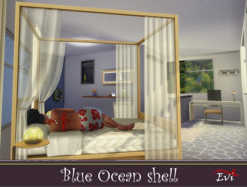 Blue Ocean Shell