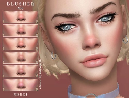 Blusher N06