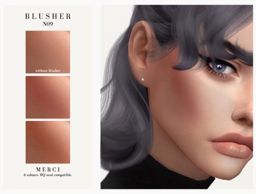 Blusher N09