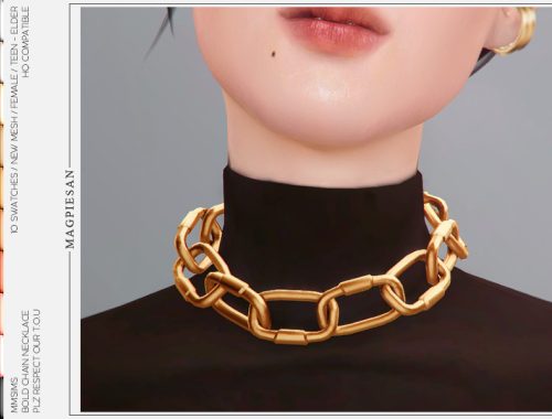 Bold chain Necklace