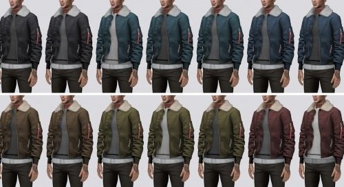 Bomber Jacket with Fur Collar (P) at Darte77