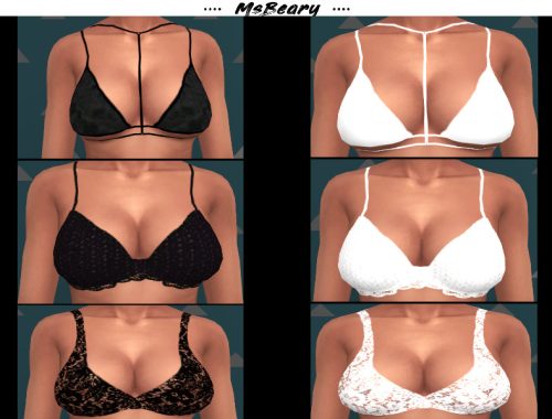 Bra Accessory Bundle