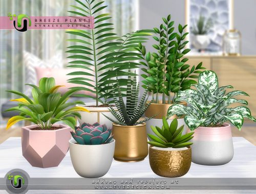 Breeze Plants