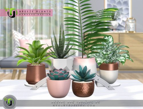 Breeze Plants