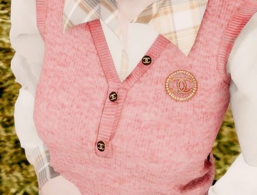 Brooch & Blouse & Knit Vest & Flared Skirt at RIMINGs