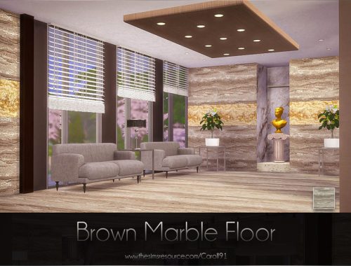 Brown Marble Floor