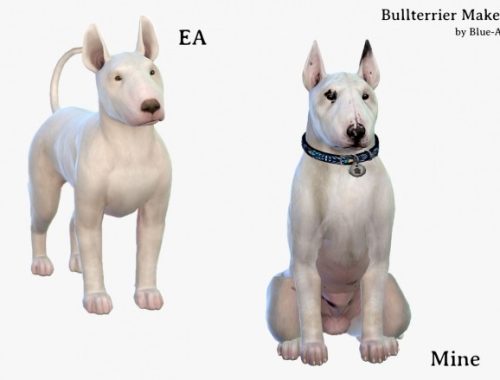 BullTerrier Makeover at Blue Ancolia