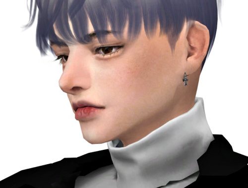 Buseu Hair at Lemon Sims 4