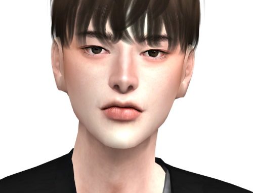 Buseu Hair at Lemon Sims 4