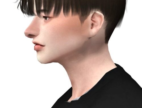 Buseu Hair at Lemon Sims 4