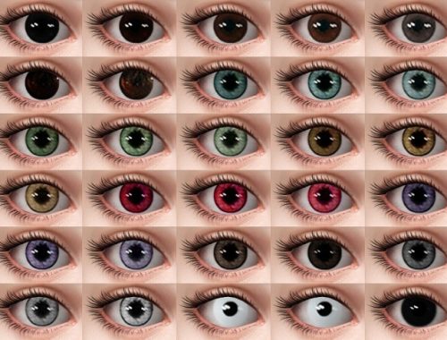 Butterfly effect eyes + Temza 2D Lash DUALITY Version at Praline Sims