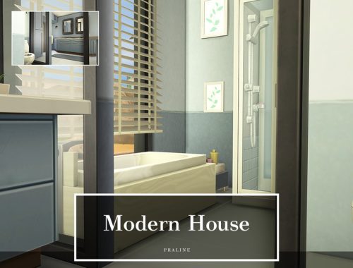 Modern House