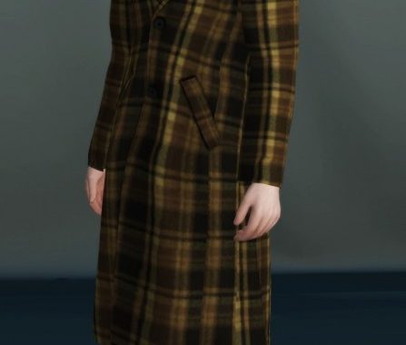 Hoodie Raglan Coat at Kiro