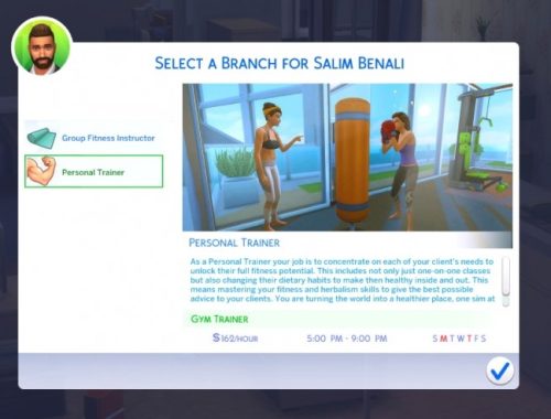 Fitness Instructor Career by PinkySimsie