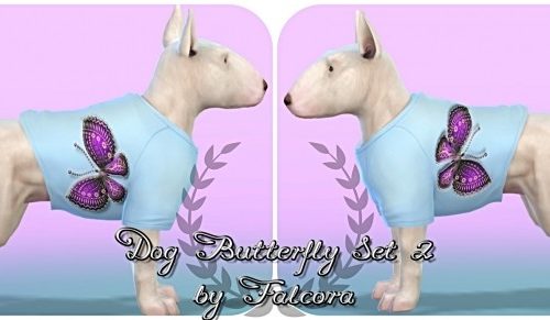 Butterfly set 10x set 2 For small dog at Petka Falcora