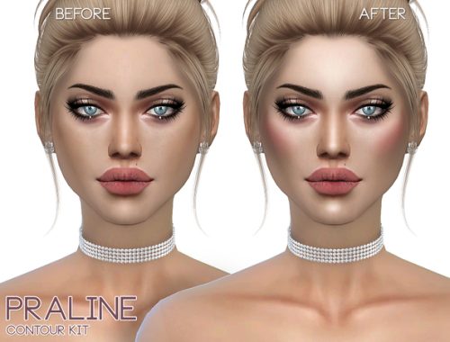 Contour Kit N54 by Pralinesims