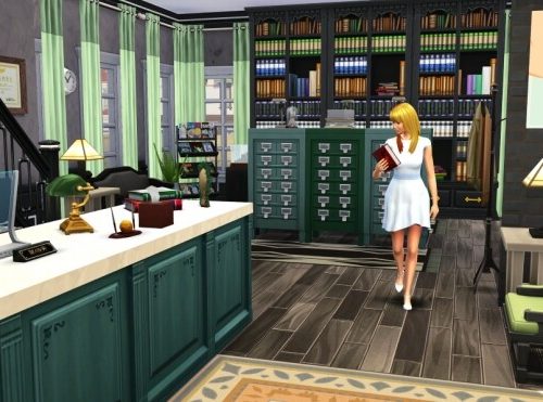 Cactus Cantina and Strangerville Library at Jenba Sims