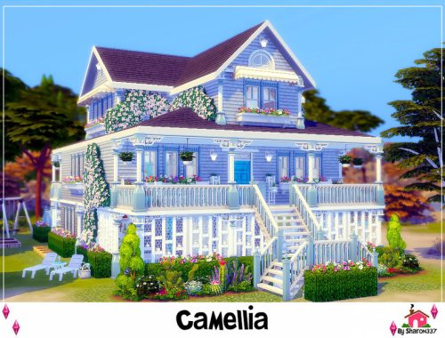 Camellia - Nocc
