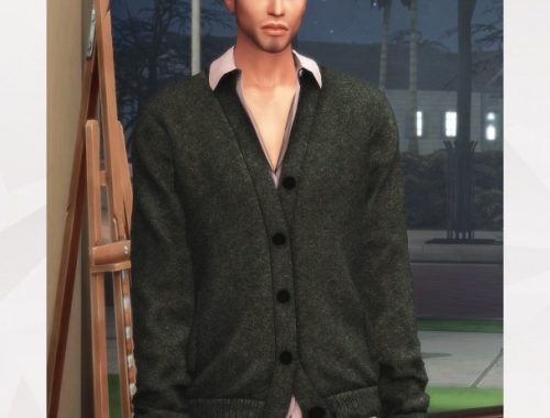 Cardigan & Shirt at Gorilla