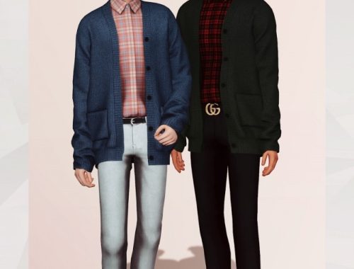 Cardigan with Shirt at Gorilla