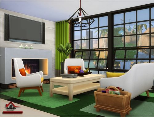 CAROL - NO CC